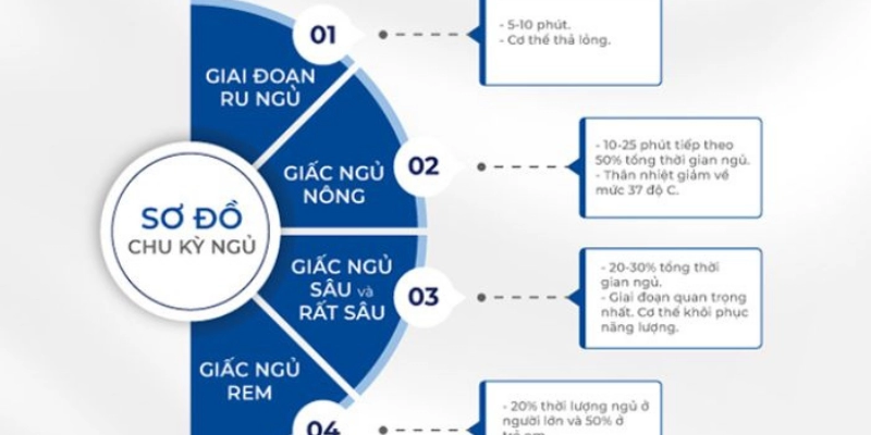 Giấc Ngủ REM