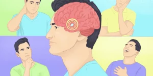 Vùng Xử Lý Cảm Xúc